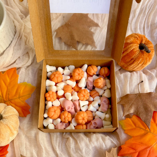 Manta y peli de terror | Wax melts vainilla oriental