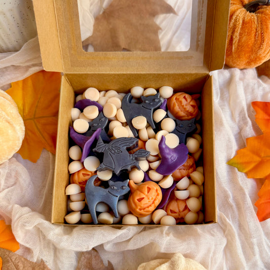Pack descubrimiento | 3 wax melts de soja de otoño