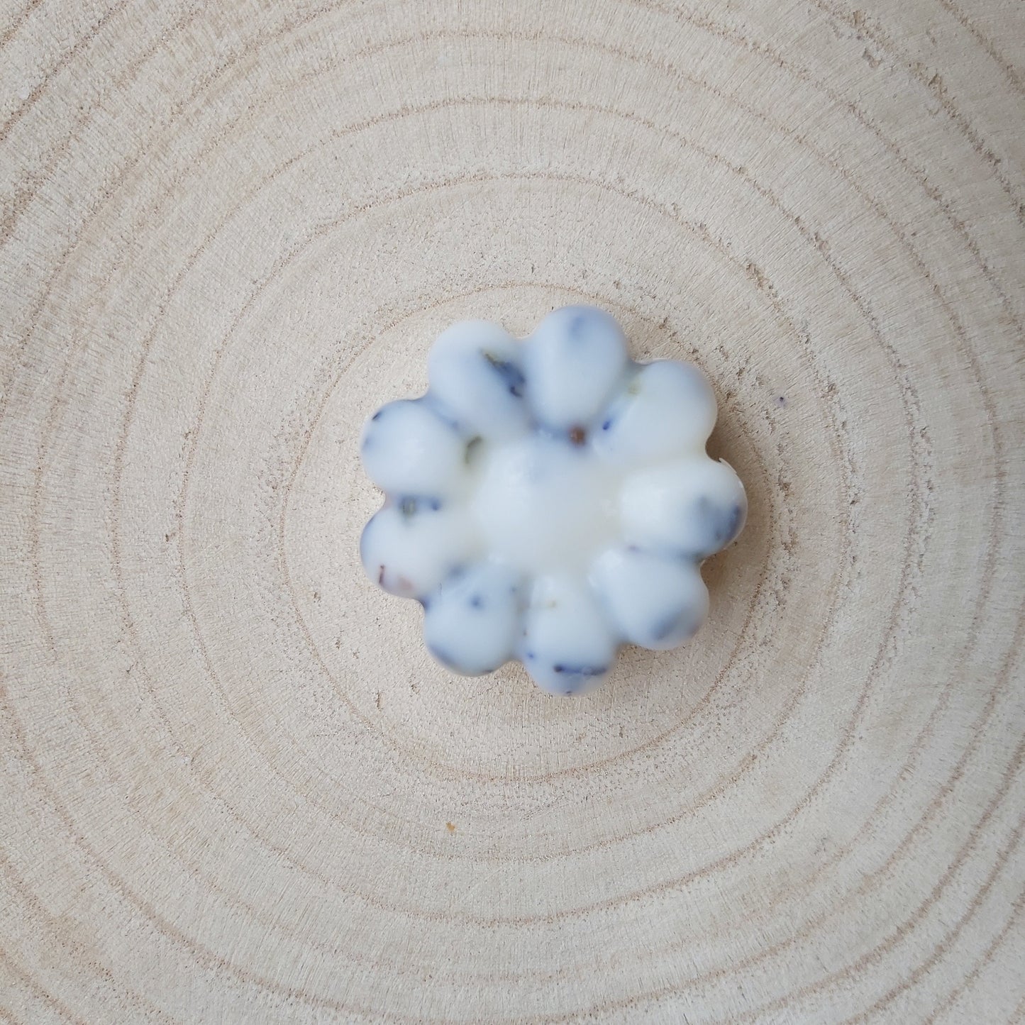 Wax Melts Bichitos de Citronela