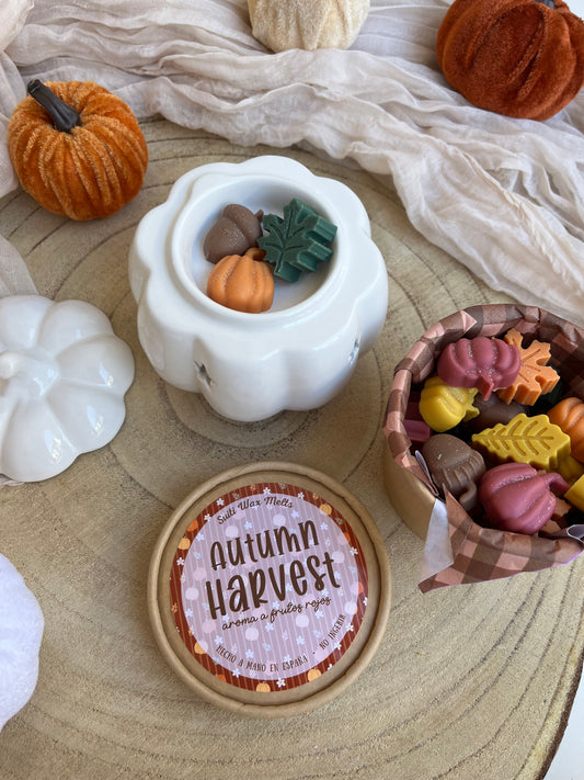 Wax Melts Autumn Harvest