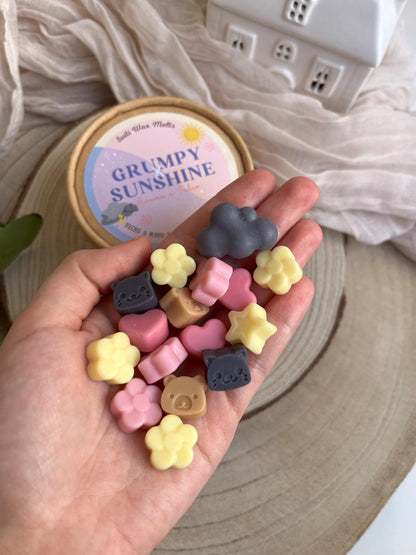 Wax Melts Grumpy x Sunshine