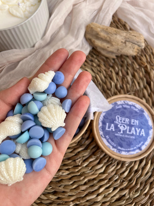 Wax melts Leer en la playa