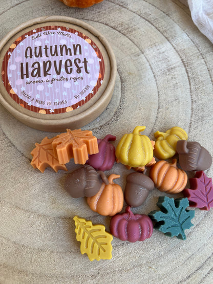Wax Melts Autumn Harvest