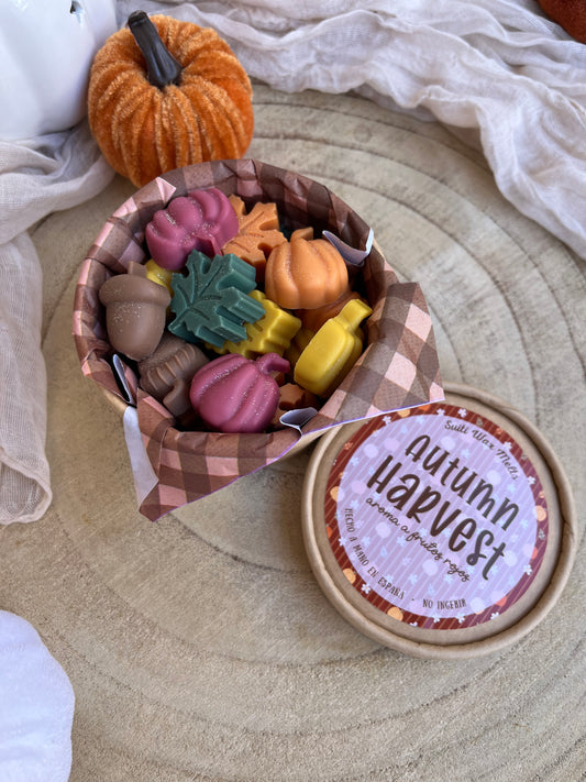 Wax Melts Autumn Harvest