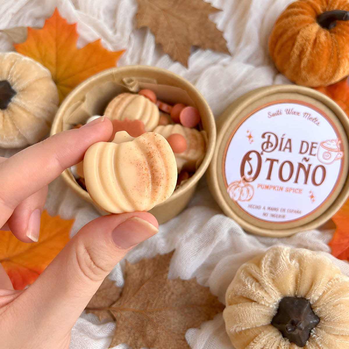 Día de otoño | Wax melts de soja Pumpkin spice
